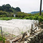 Agricultural Insect-proof Greenhouse Net for Fruit Vegetable Plant Protection - 250CMx6M