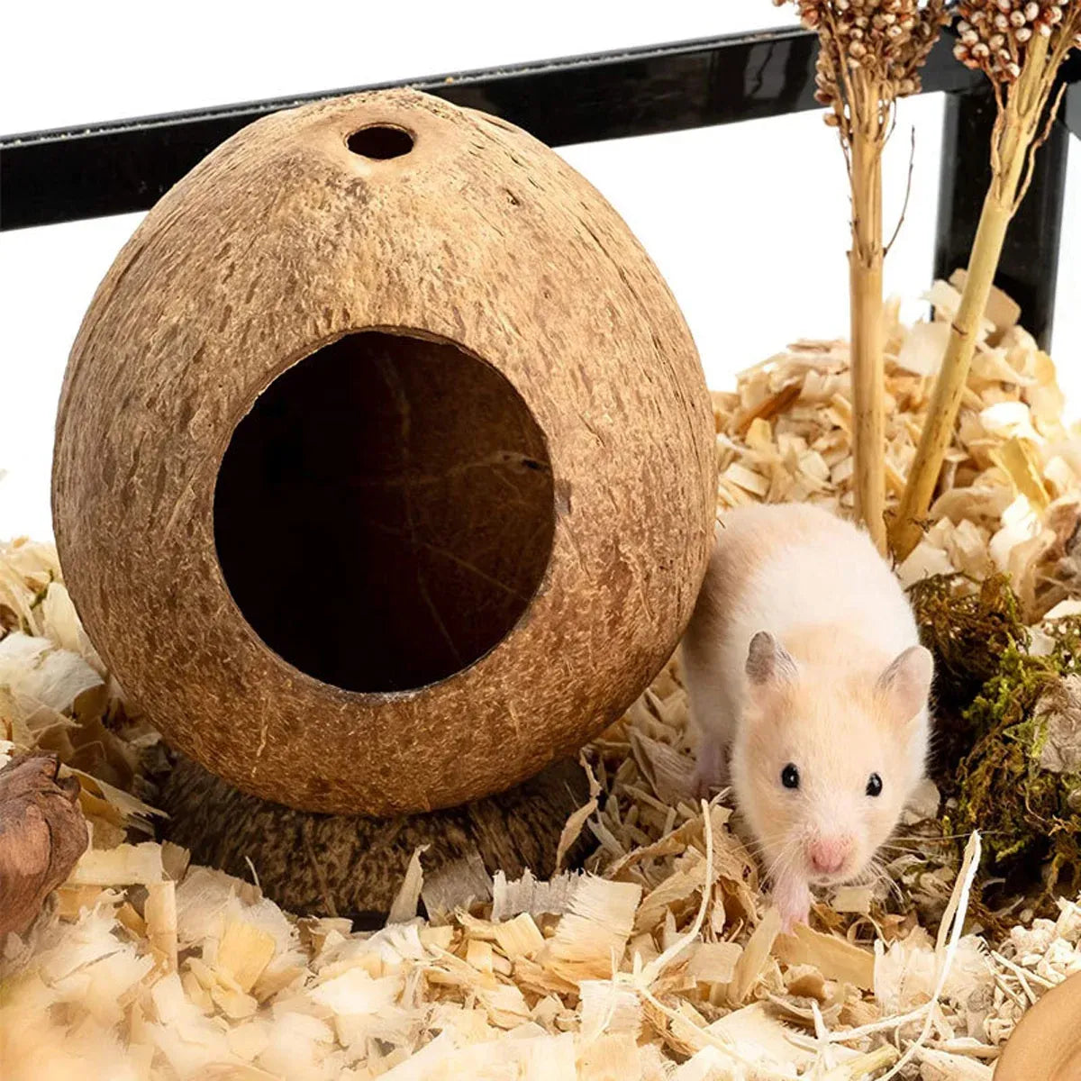Coconut Hamster Toy Supplies Equipment Nest Warm Winter Space Saving Durable
