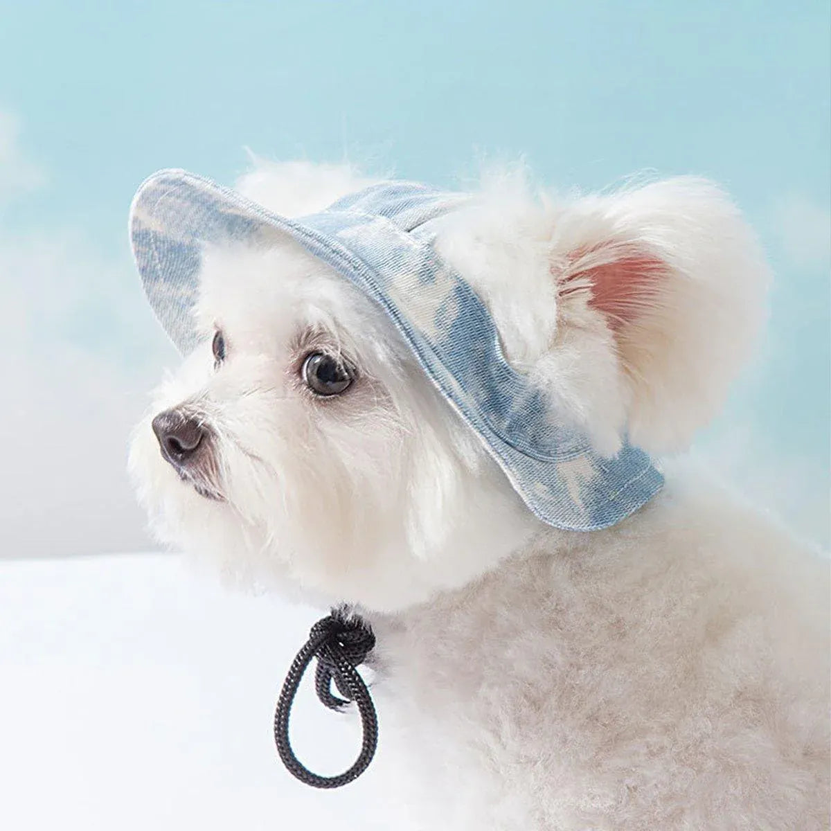 Adjustable Pet Hat with Cute Leaky Ears Sunscreen Fisherman Hat Four Seasons Use - Orange Red - S