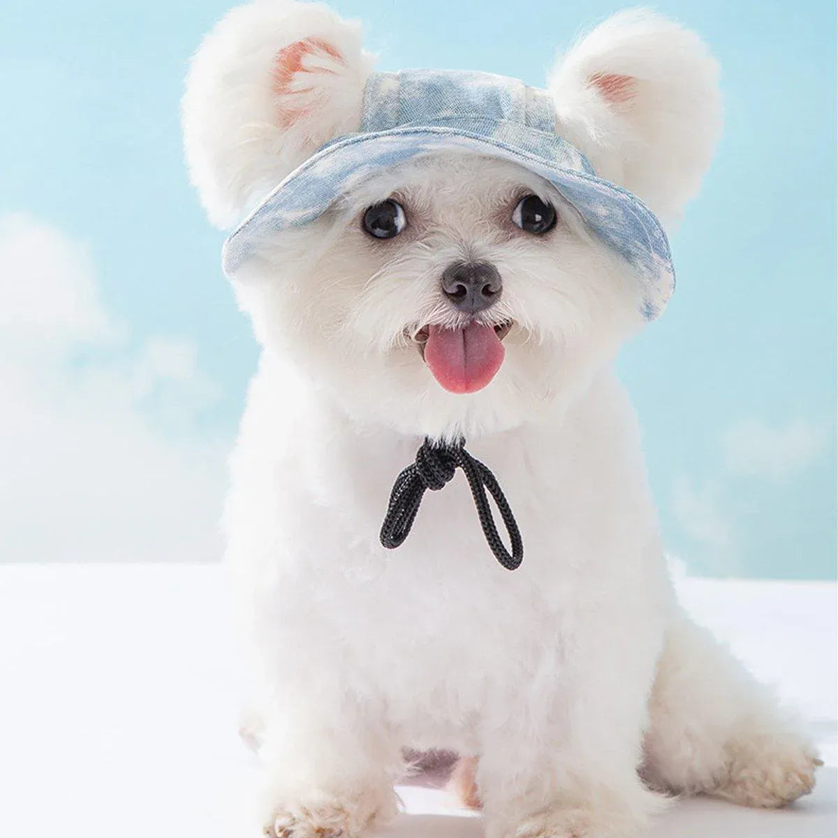 Adjustable Pet Hat with Cute Leaky Ears Sunscreen Fisherman Hat Four Seasons Use - Orange Red - S
