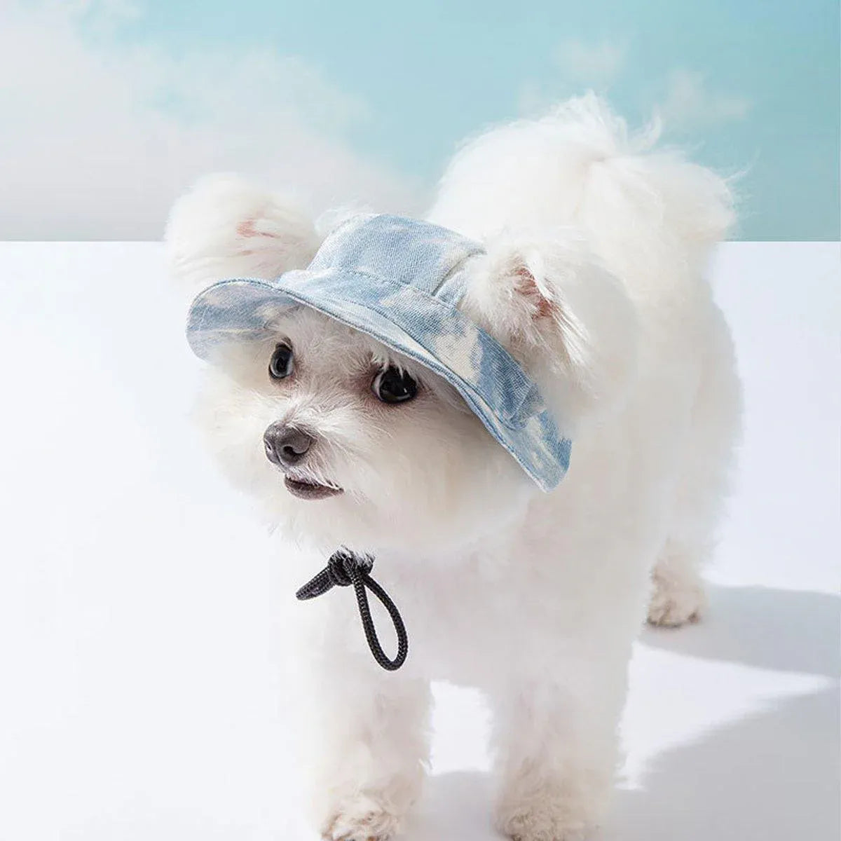 Adjustable Pet Hat with Cute Leaky Ears Sunscreen Fisherman Hat Four Seasons Use - Orange Red - S