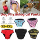 Washable Female Pet Dog Cat Nappy Diaper Physiological Pants Panties Underwear Camouflage - XXL