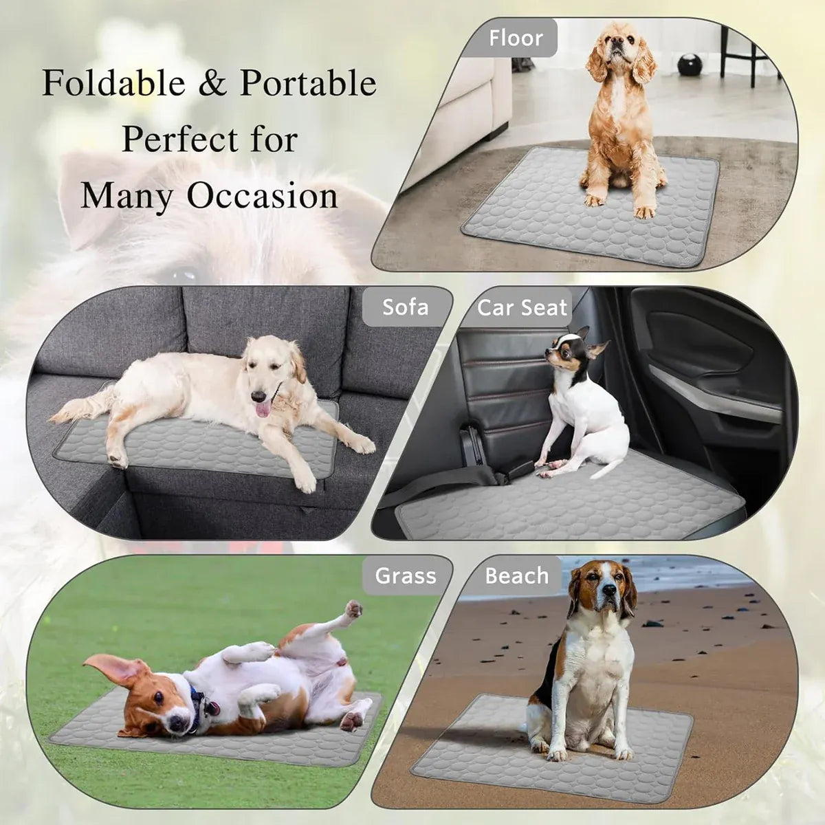 Pet  Sleeping Mat Summer Spring Mat for Dog and Cat Indoor Use - S