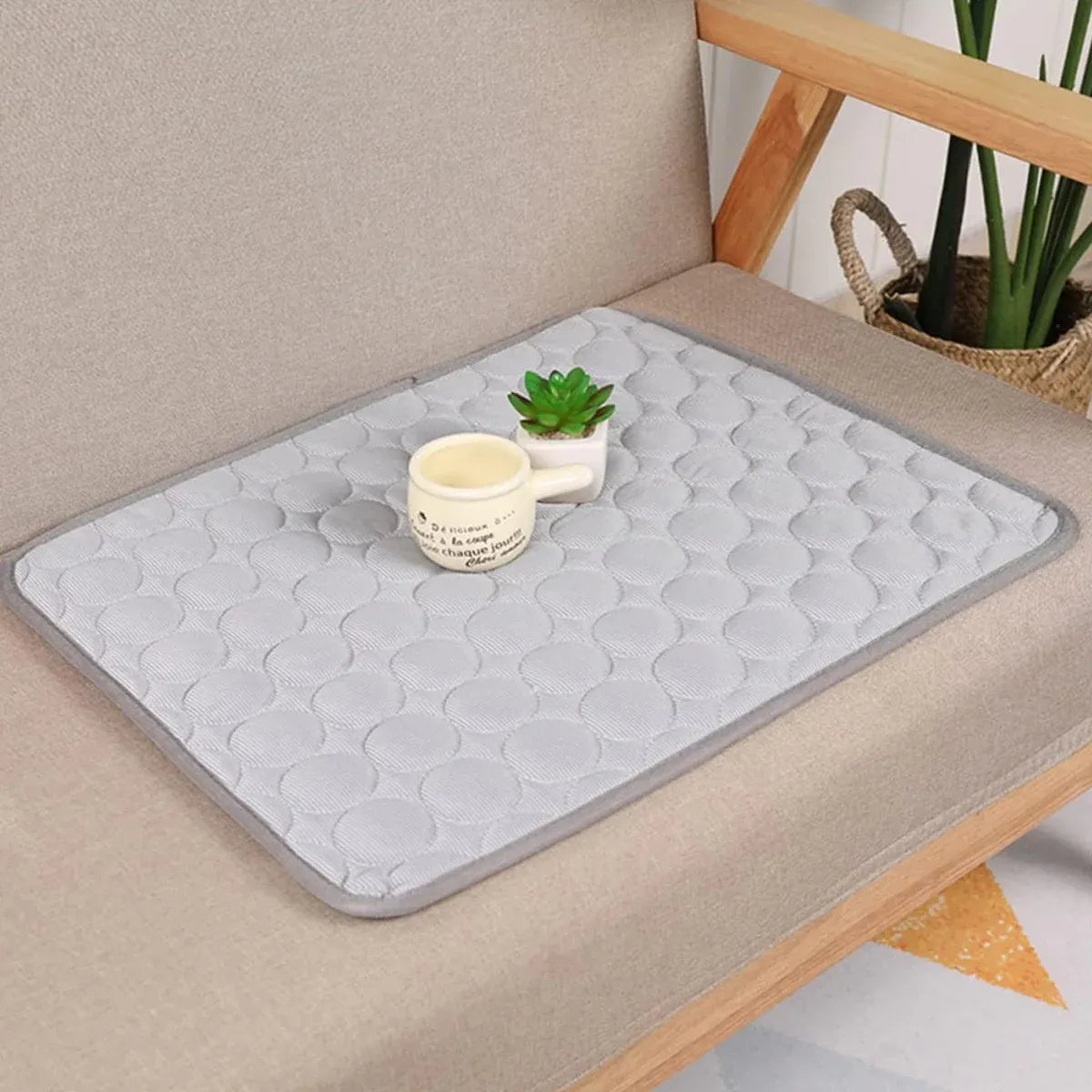 Pet  Sleeping Mat Summer Spring Mat for Dog and Cat Indoor Use - S