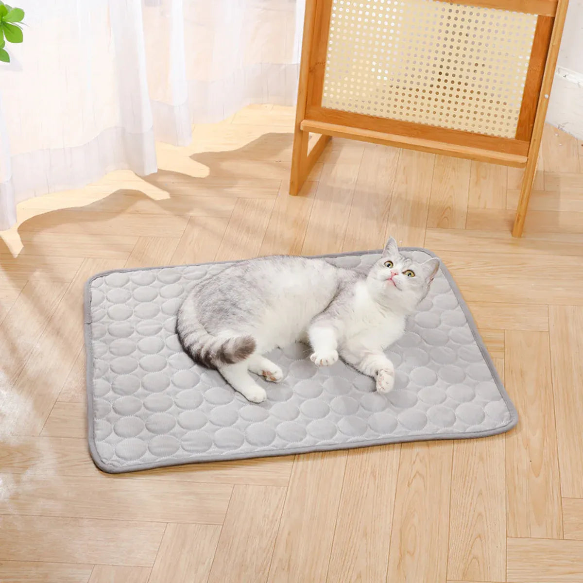 Pet  Sleeping Mat Summer Spring Mat for Dog and Cat Indoor Use - XS