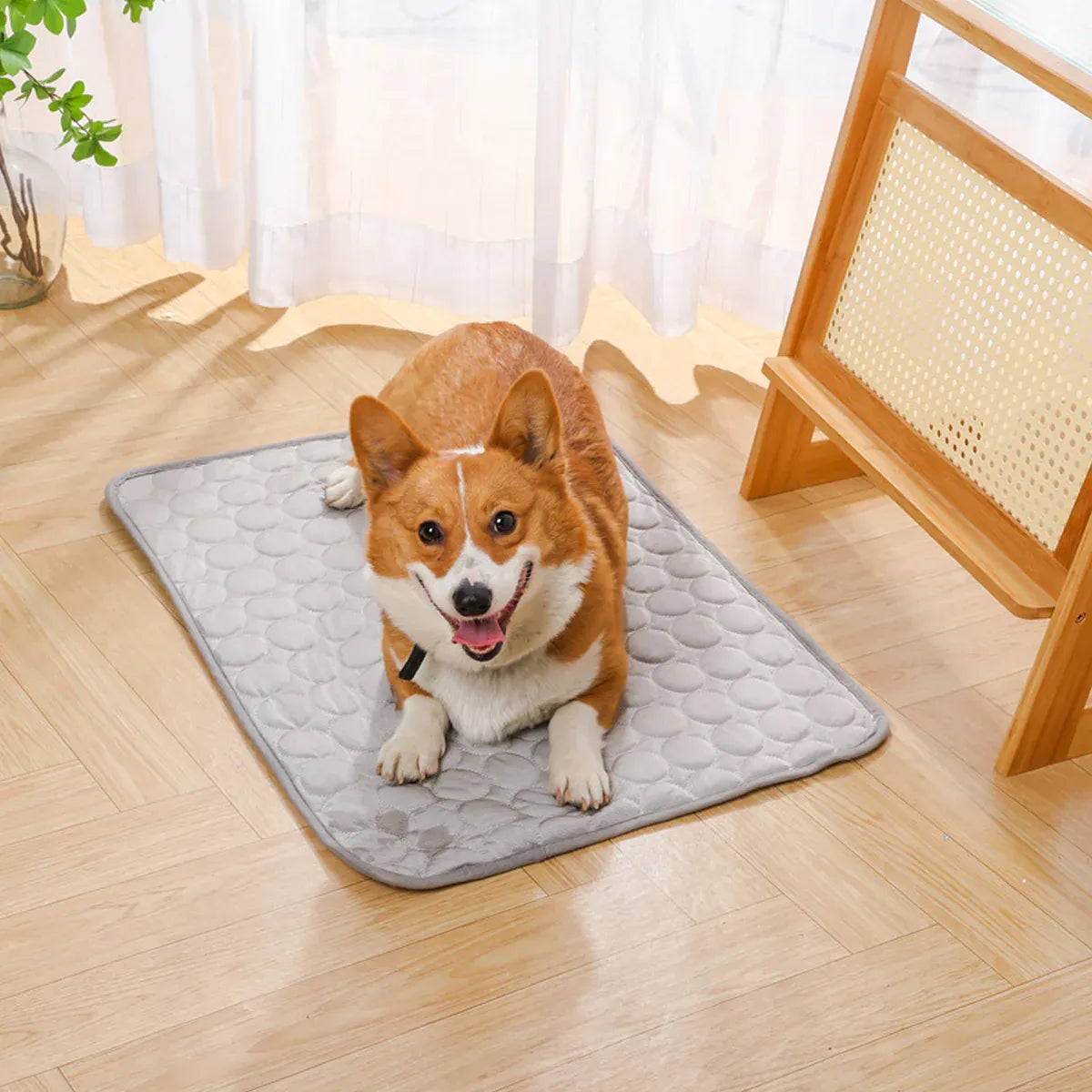 Pet  Sleeping Mat Summer Spring Mat for Dog and Cat Indoor Use - XS