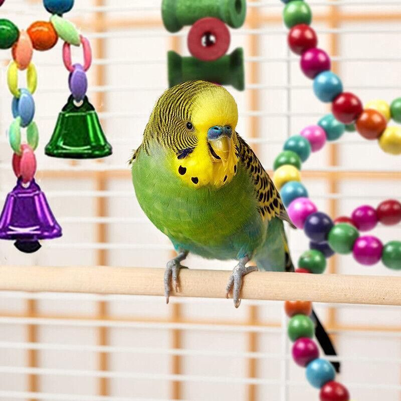 10pcs Parrot Toys Set Swing Ladder