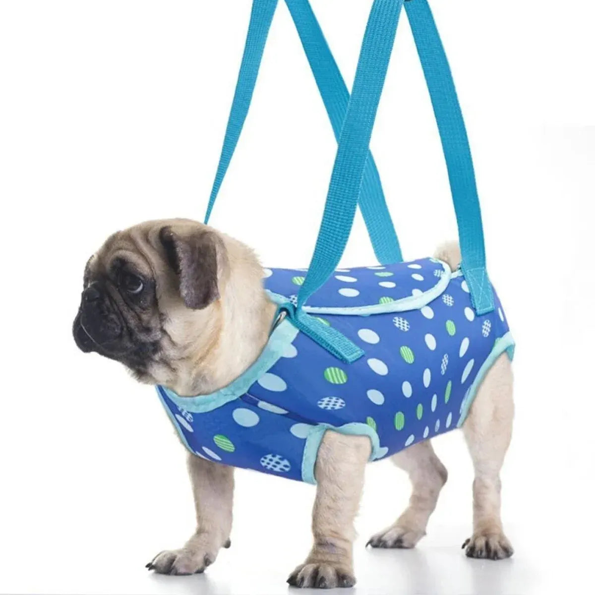 Pet Portable Travel Backpack Dog Four-Legged Carrier Crossbody Bag Durable - M