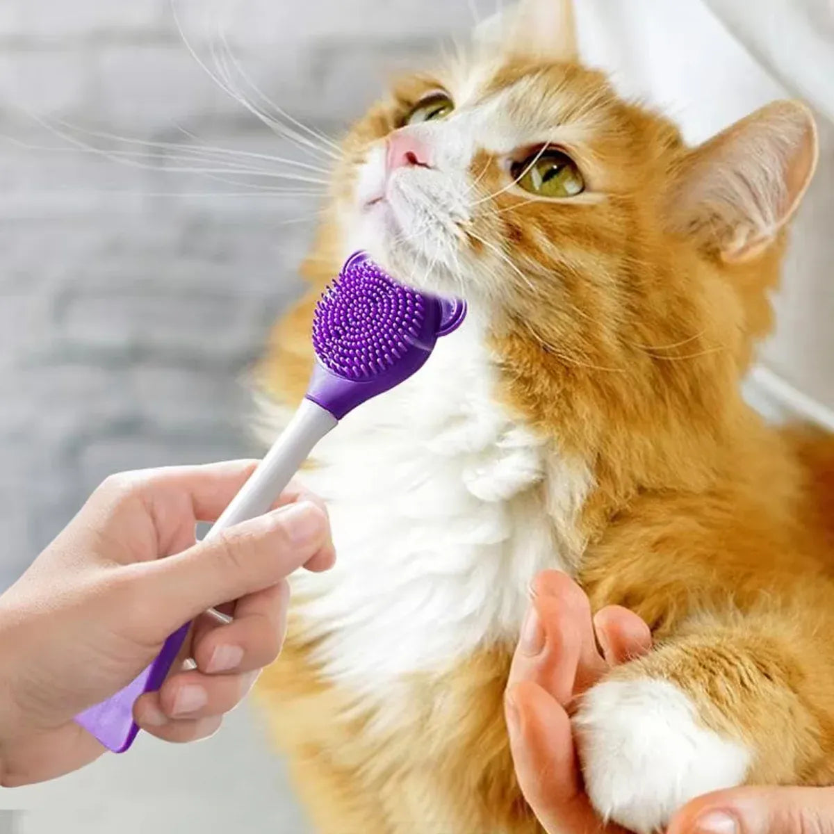 Cat Cleaning Silicone Brush Pet Toothbrush Dog Cleaning Brush Grooming Tool - Purple