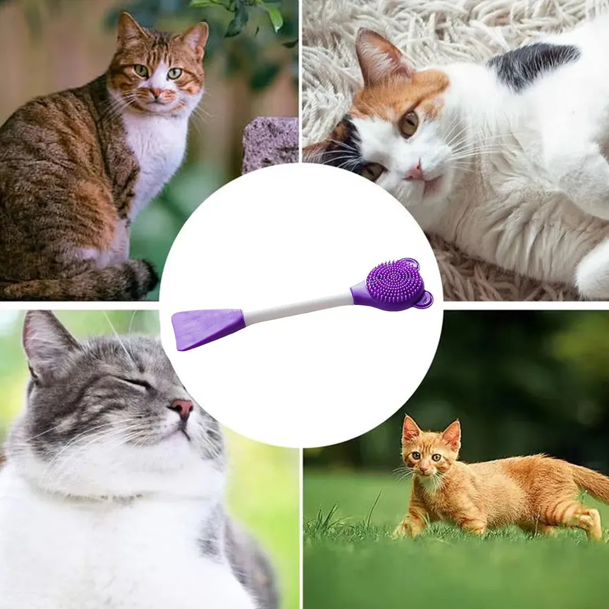 Cat Cleaning Silicone Brush Pet Toothbrush Dog Cleaning Brush Grooming Tool - Purple