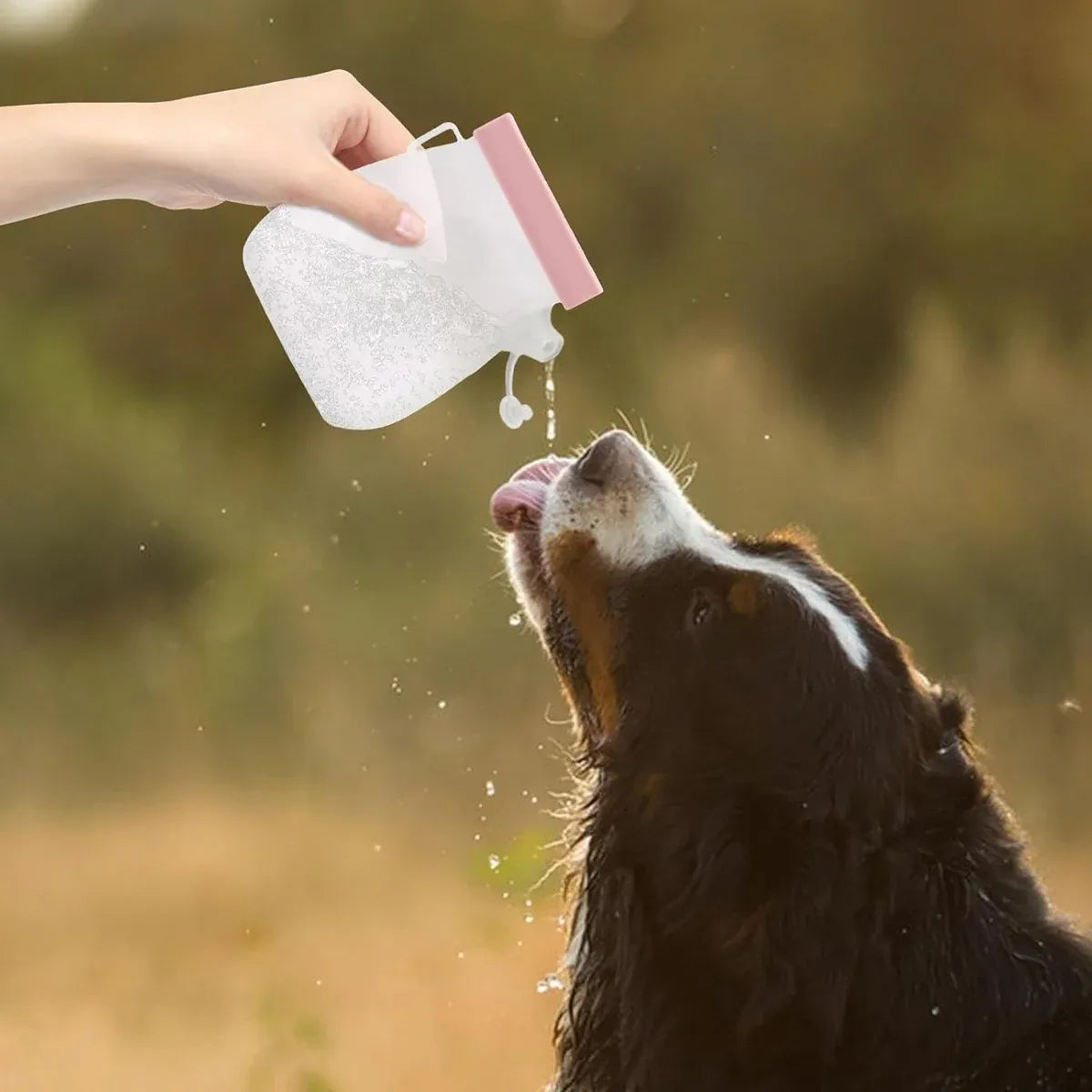 Portable Silicone Pet Outdoor Water Bottle 320ml Easy Clean for Pet Outdoor Use
