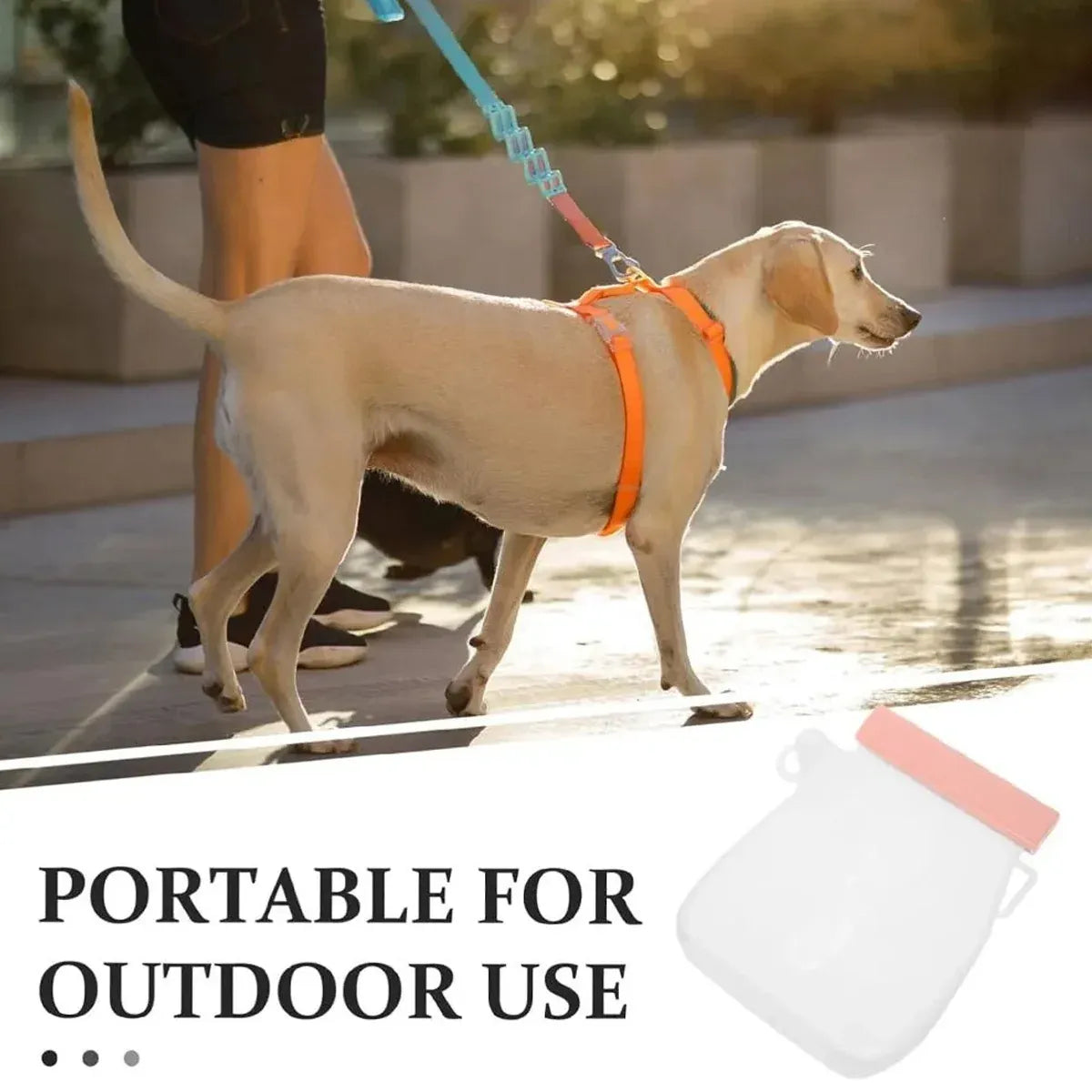 Portable Silicone Pet Outdoor Water Bottle 320ml Easy Clean for Pet Outdoor Use