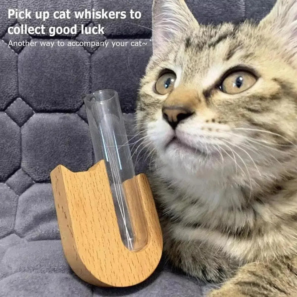 Pet Hair Memorial Box Fridge Magnet Keepsake Whisker Collector Storage Case - Black walnut