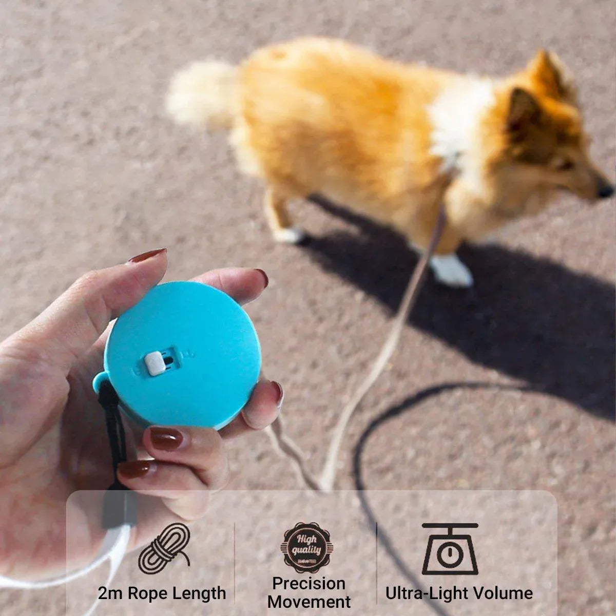 2M Outdoor Mini Retractable Leash Traction Rope Cats Dogs Durable - White