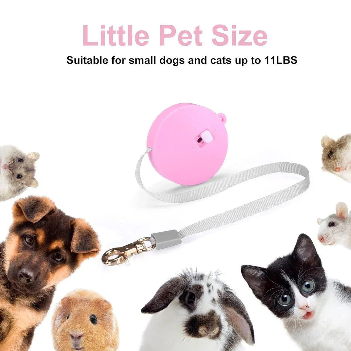 2M Outdoor Mini Retractable Leash Traction Rope Cats Dogs Durable - White