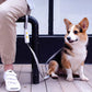 Nylon Leash for Small Medium Dogs Durable Adjustable Walking Lead Strap - Yellow