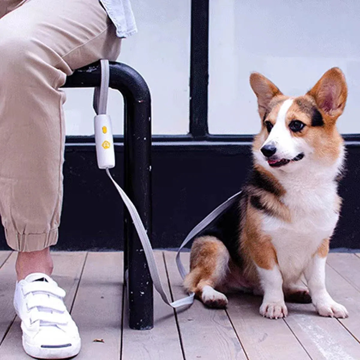 Nylon Leash for Small Medium Dogs Durable Adjustable Walking Lead Strap - Yellow