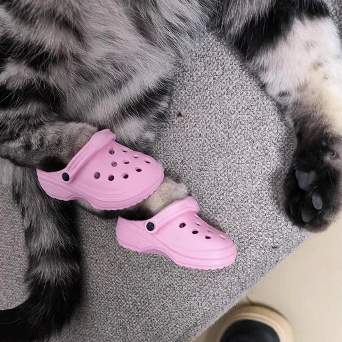 2pcs Shoe Charms Accessories for Shoes Bags Clothing Pet Shoes Decorative Set - Watermelon Pink