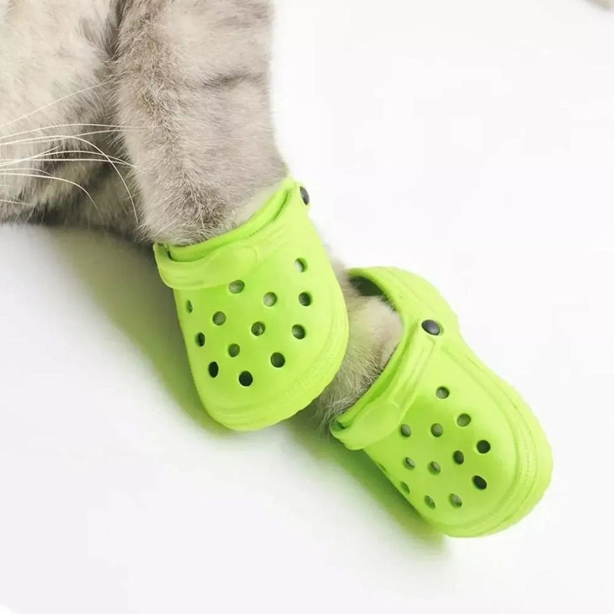 2pcs Shoe Charms Accessories for Shoes Bags Clothing Pet Shoes Decorative Set - Watermelon Pink
