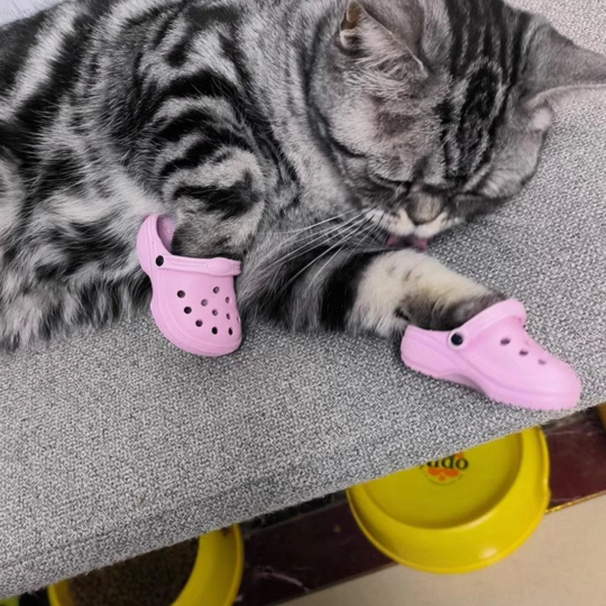 2pcs Shoe Charms Accessories for Shoes Bags Clothing Pet Shoes Decorative Set - Watermelon Pink