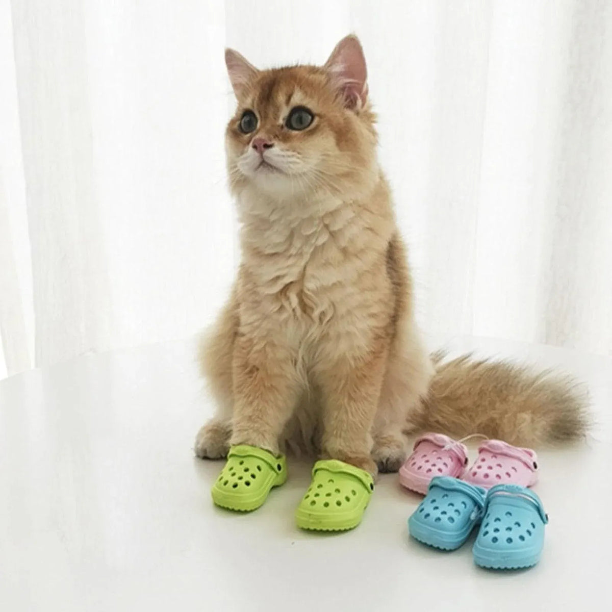 2pcs Shoe Charms Accessories for Shoes Bags Clothing Pet Shoes Decorative Set - Watermelon Pink