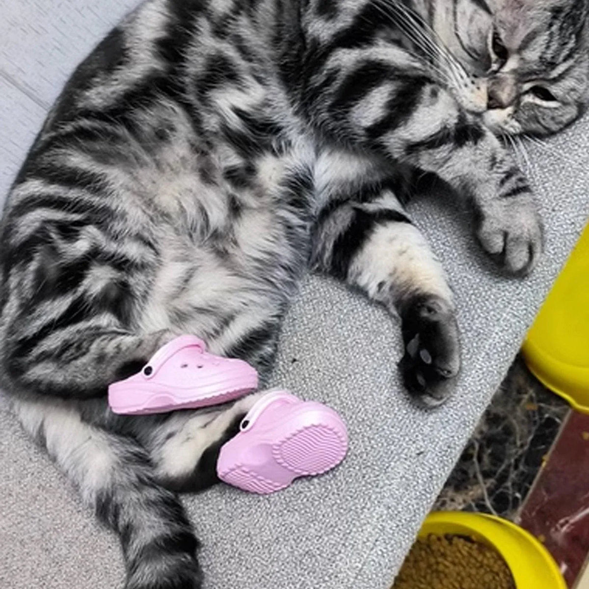 2pcs Shoe Charms Accessories for Shoes Bags Clothing Pet Shoes Decorative Set - Watermelon Pink