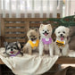 Pet Bandana Bib for Cats and Dogs Triangle Saliva Scarf for Decoration or Daily Use - Yellow Flower
