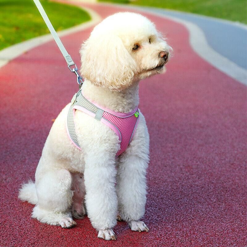 Pet Dog Harness Adjustable Reflective Breathable Outdoor Collars Strap Cat Leash Yellow - L