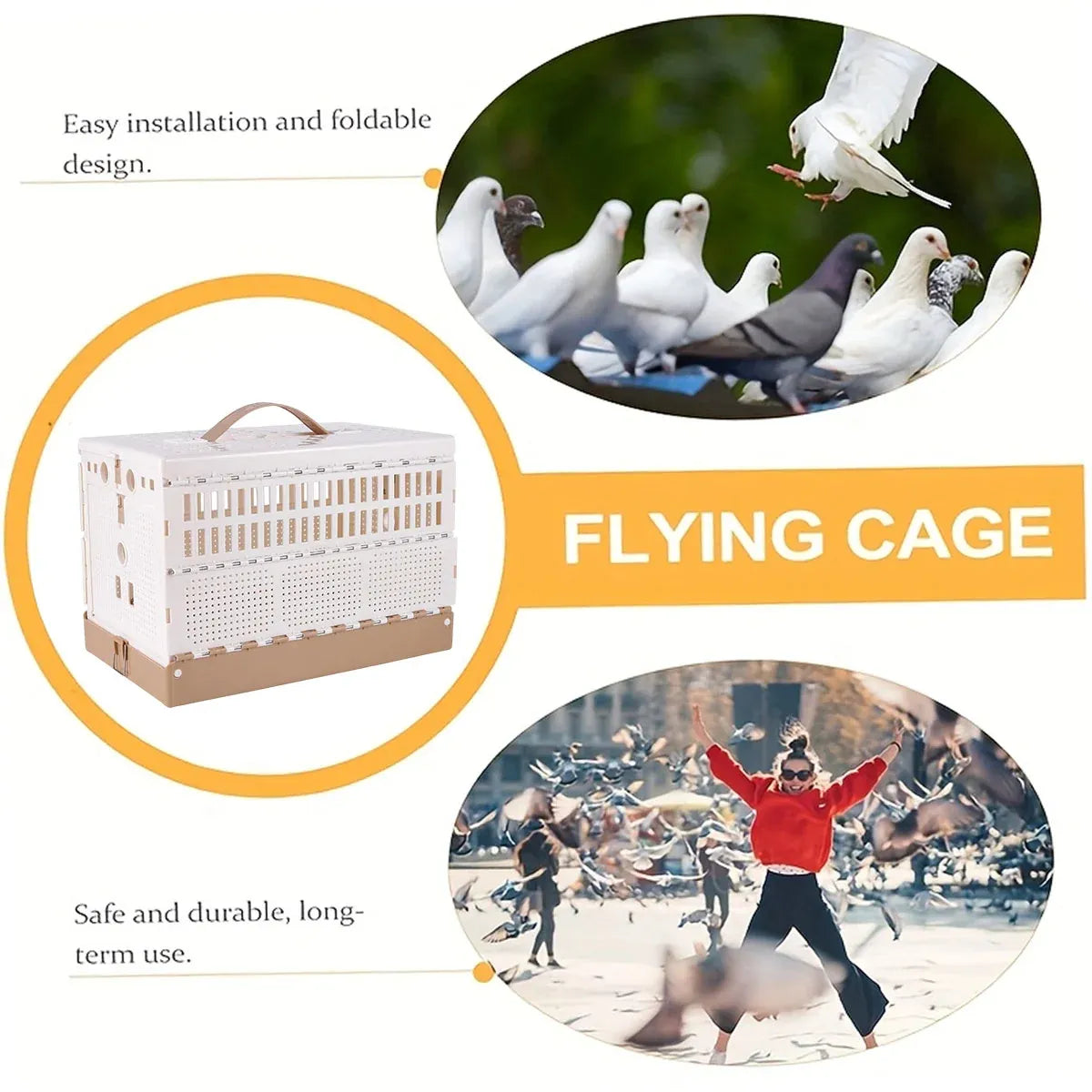 Pigeon Cage Foldable Plastic Homing Pigeon Crate Carrier Training Transport Box