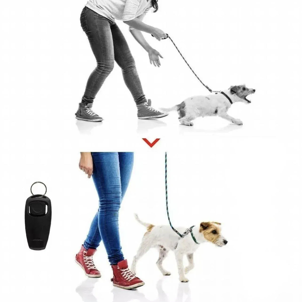 Dog Whistle and Clicker Set for Training Stop Barking Obedience Tool Combo - Red