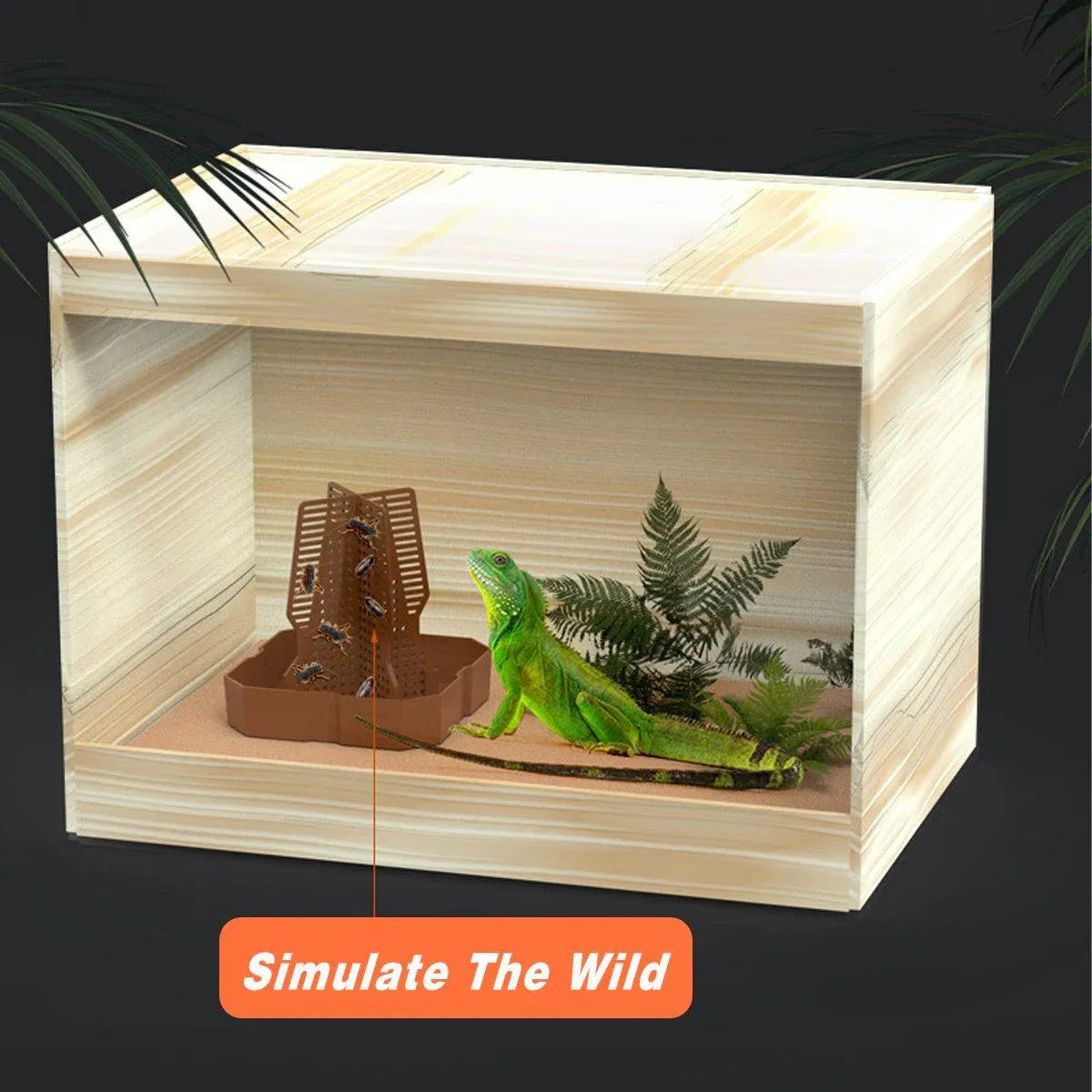 Reptile Anti Escape Feeding Basin Self Catch Feeder for Lizard Snake Pet Care - Brown-S