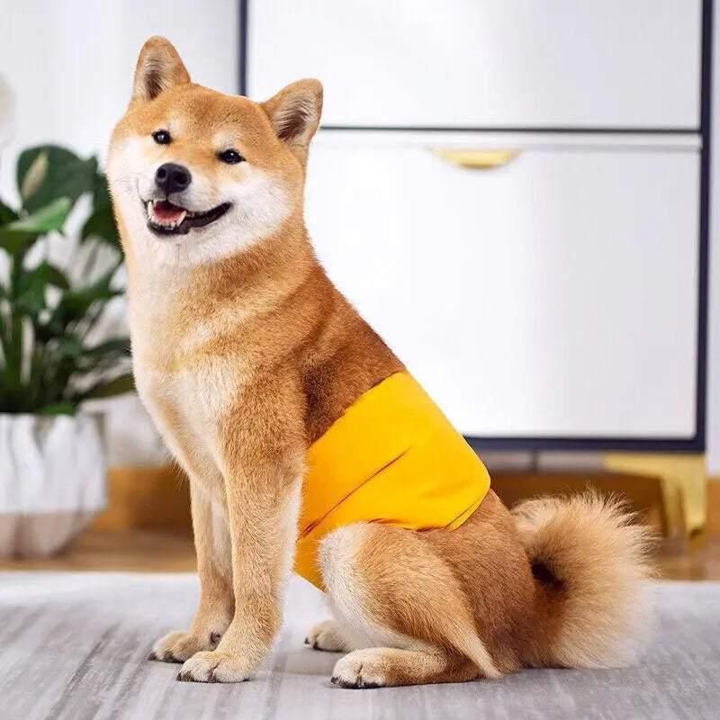 M Male Dog Puppy Nappy Diaper Belly Wrap Band Sanitary Pants Underpants - Grey