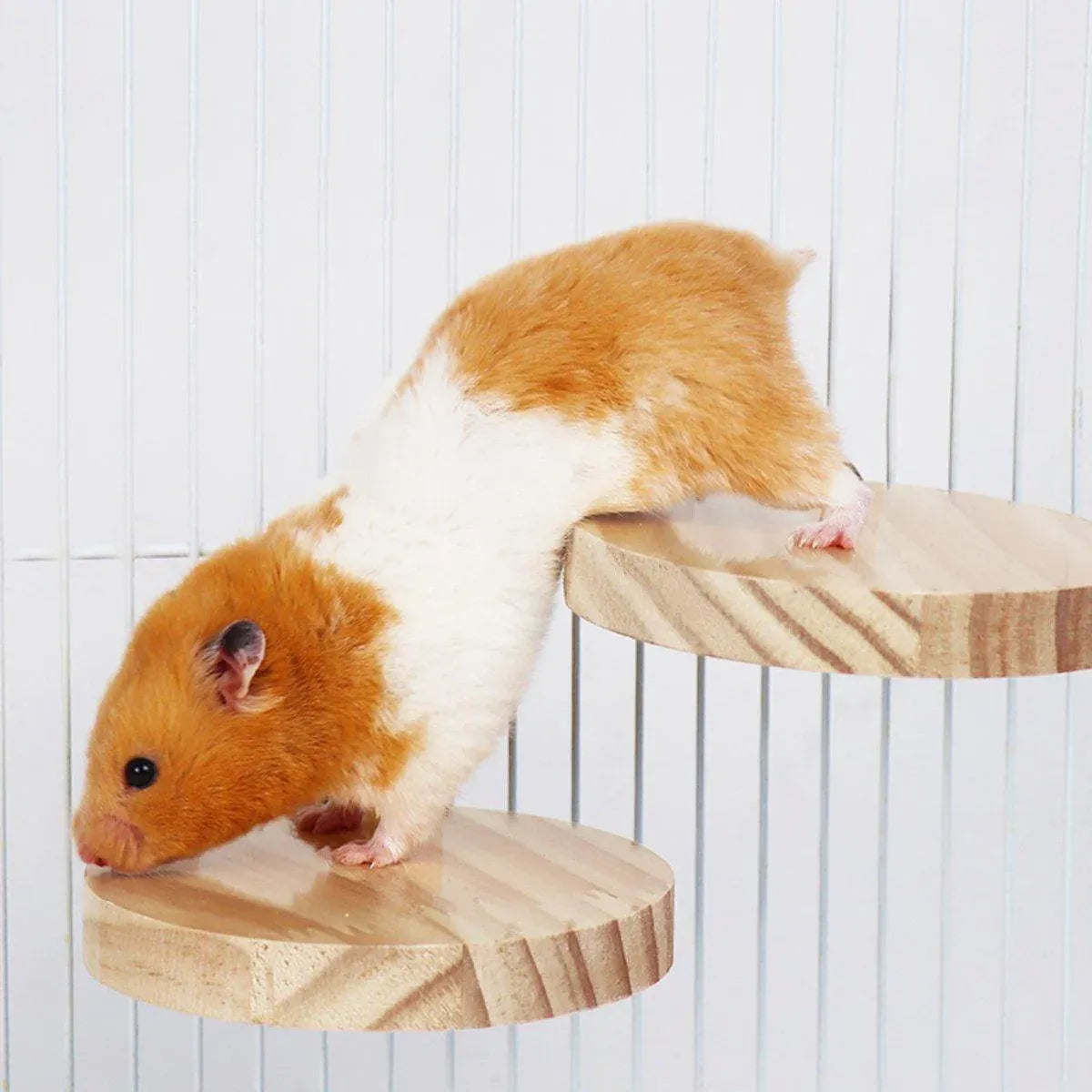Hamster Parrot Play Stand Jump Platform Squirrel Cage Accessories Gear Pet Toy - A2111 (15*7.5*1.5cm)