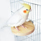 Hamster Parrot Play Stand Jump Platform Squirrel Cage Accessories Gear Pet Toy - A2111 (15*7.5*1.5cm)