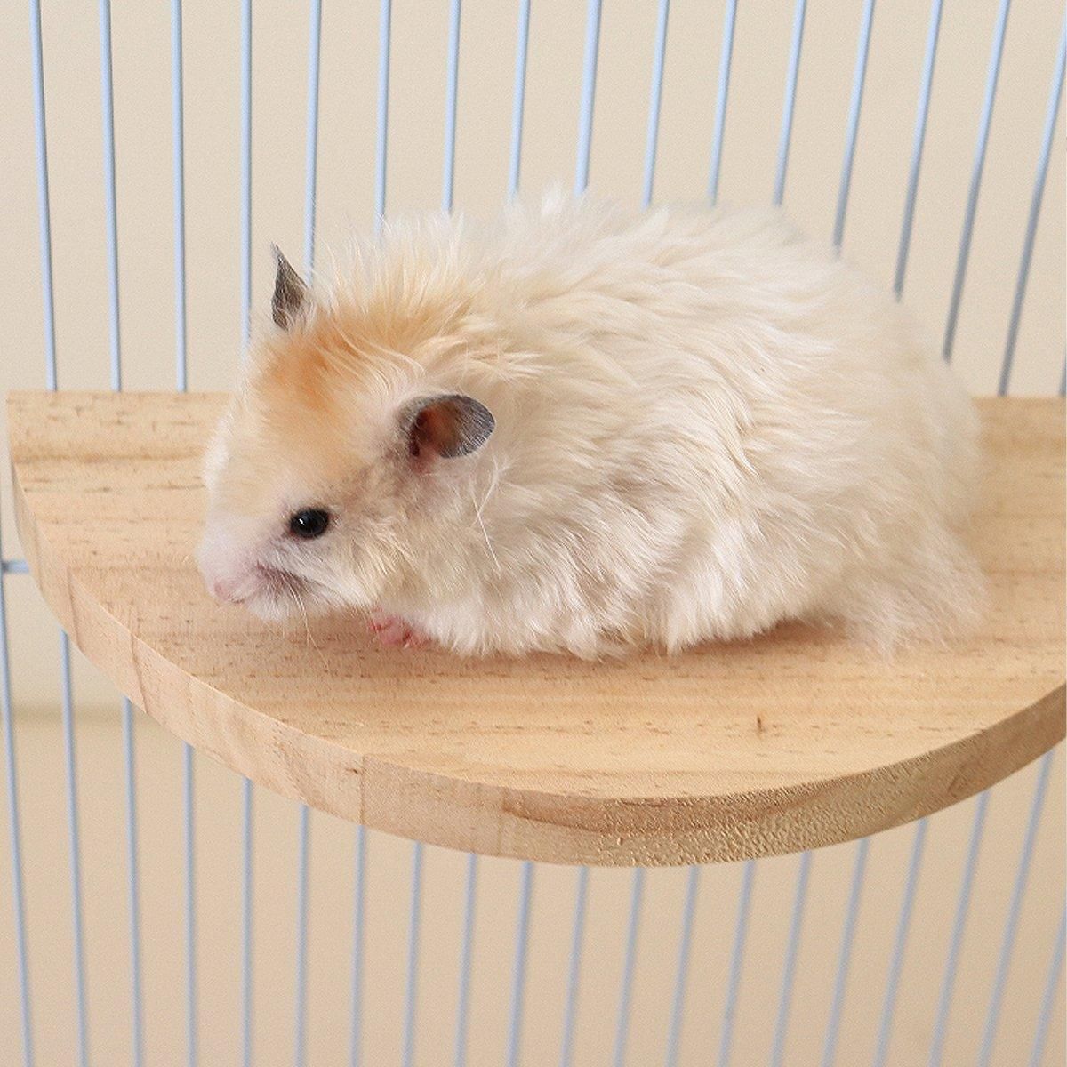 Hamster Parrot Play Stand Jump Platform Squirrel Cage Accessories Gear Pet Toy - A2111 (15*7.5*1.5cm)