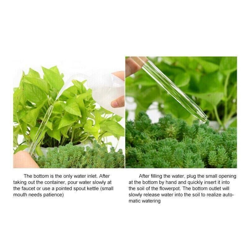 Automatic Self Plant Watering Glass Bulbs Water Feeder Indoor Irrigation Outdoor - Birdie