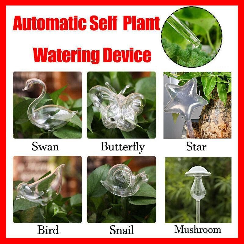 Automatic Self Plant Watering Glass Bulbs Water Feeder Indoor Irrigation Outdoor - Snail