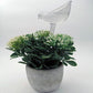 Automatic Self Plant Watering Glass Bulbs Water Feeder Indoor Irrigation Outdoor - Snail
