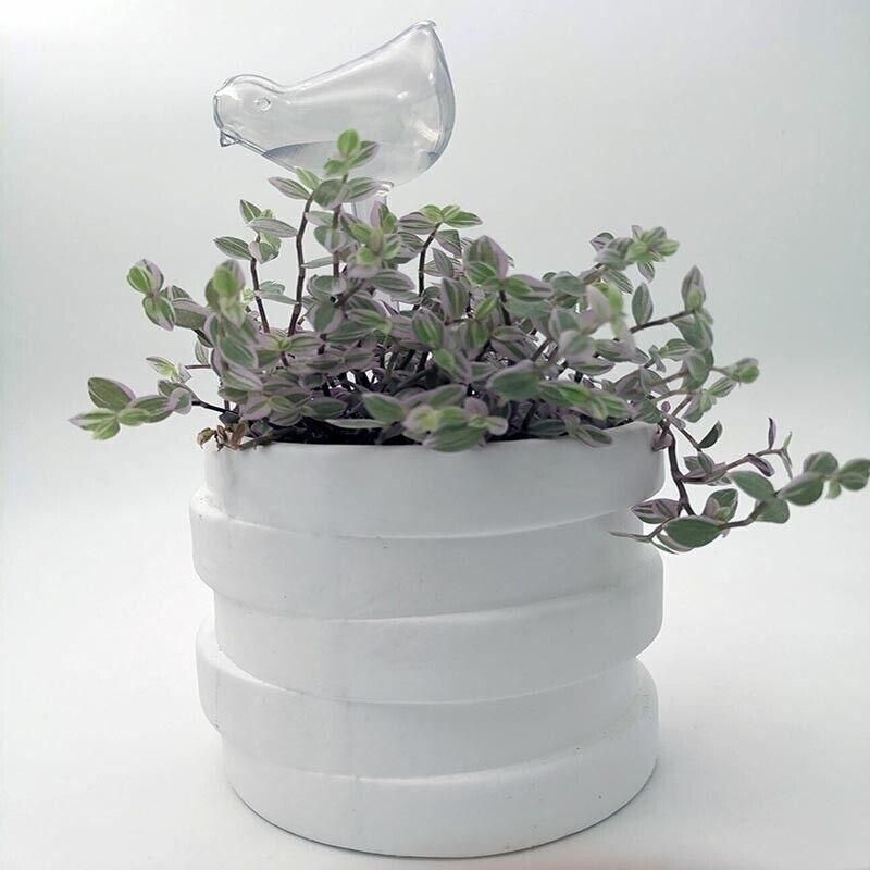 Automatic Self Plant Watering Glass Bulbs Water Feeder Indoor Irrigation Outdoor - Snail