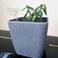 Automatic Self Plant Watering Glass Bulbs Water Feeder Indoor Irrigation Outdoor - Snail