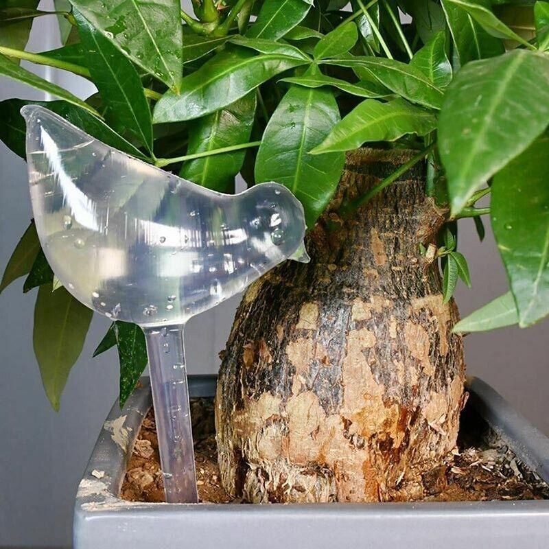 Automatic Self Plant Watering Glass Bulbs Water Feeder Indoor Irrigation Outdoor - Snail