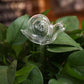 Automatic Self Plant Watering Glass Bulbs Water Feeder Indoor Irrigation Outdoor - Snail