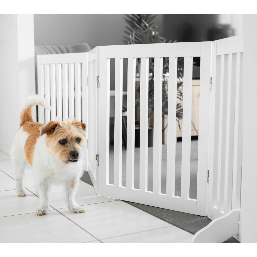 Freestanding Dog Gate Four Panel - White