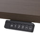 Lifespan Fitness ErgoDesk Electric Standing Desk 140cm (Walnut/Black)