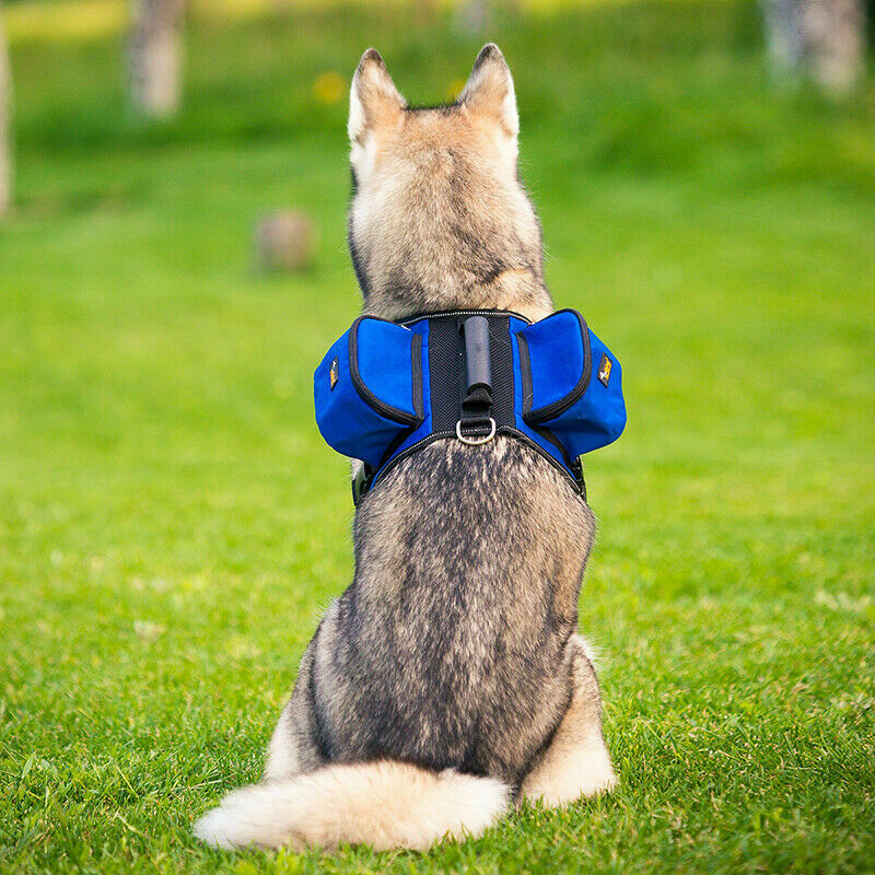 Dog Backpack Harness Pet Carrier Saddle Bag Reflective Outdoor Hiking L - Blue - Ondoing