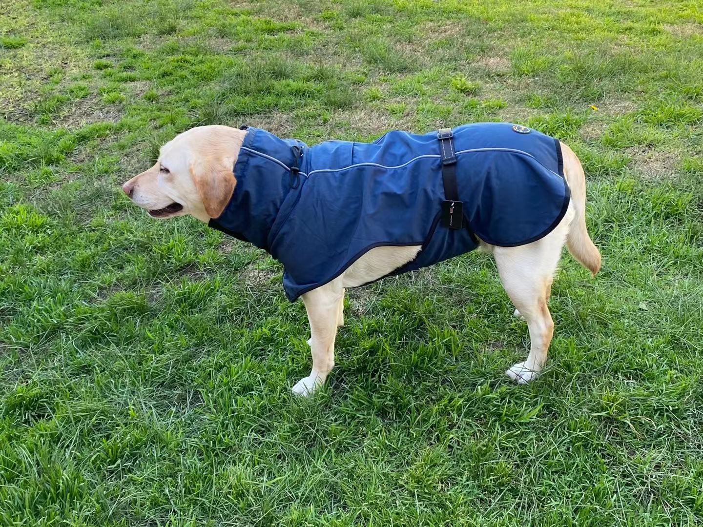 Pet Dog Raincoat Poncho Jacket - Windbreaker Waterproof with Harness Hole - S Black