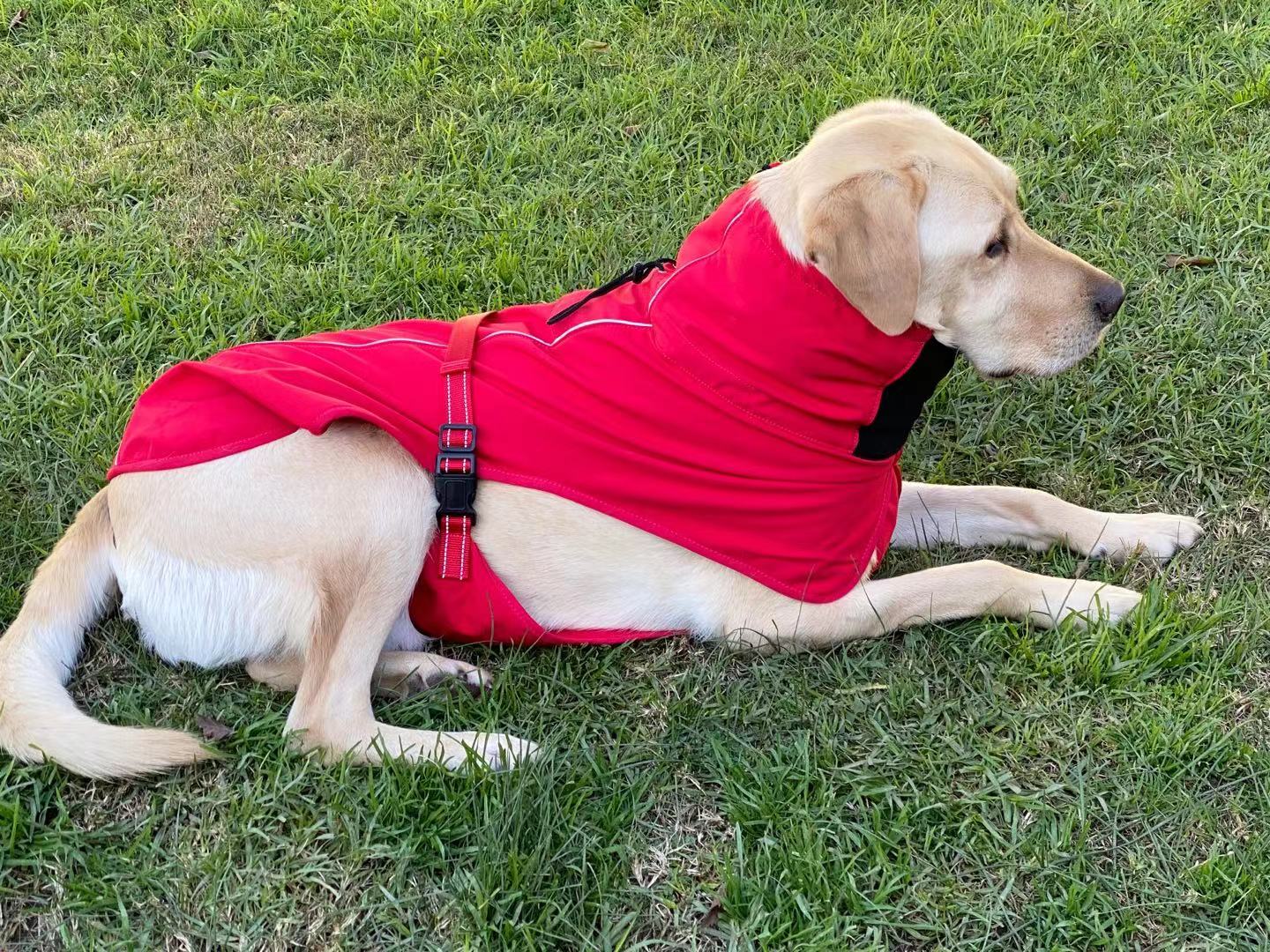 Pet Dog Raincoat Poncho Jacket - Windbreaker Waterproof with Harness Hole - S Red