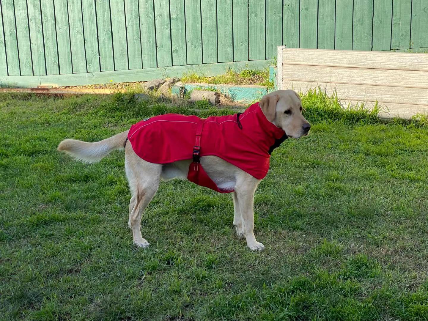 Pet Dog Raincoat Poncho Jacket - Windbreaker Waterproof with Harness Hole - S Red