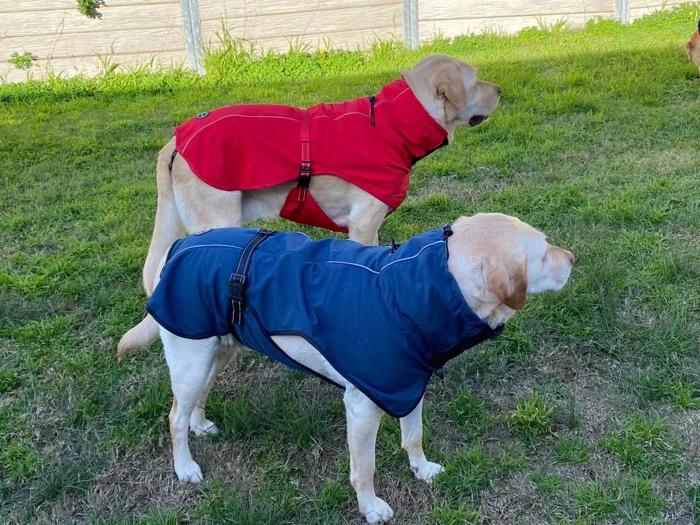 Pet Dog Raincoat Poncho Jacket - Windbreaker Waterproof with Harness Hole - S Red