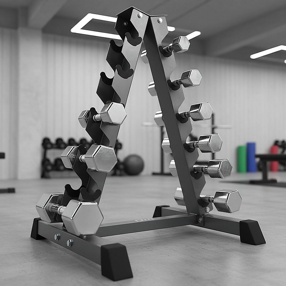 Vertical Dumbbell Rack Weight Stand - Steel